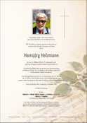 Hansjörg Holzmann